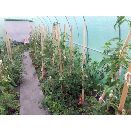 TUNEL FOLIOWY - SZKLARNIA OGRODOWA - 3X6 M