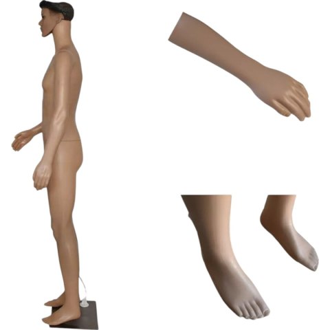 Manekin męski 190 cm pełnopostaciowy realistyczny lekki demontowalny Manekin męski 190 cm pełnopostaciowy realistyczny lekki demontowalny