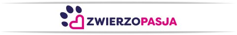 WORECZKI BIO NA PSIE ODCHODY GIZMO 400 SZTUK