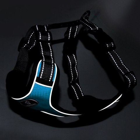 SZELKI TRENINGOWE SPACEROWE DLA PSA ASTRO BŁĘKITNE ROZMIAR M