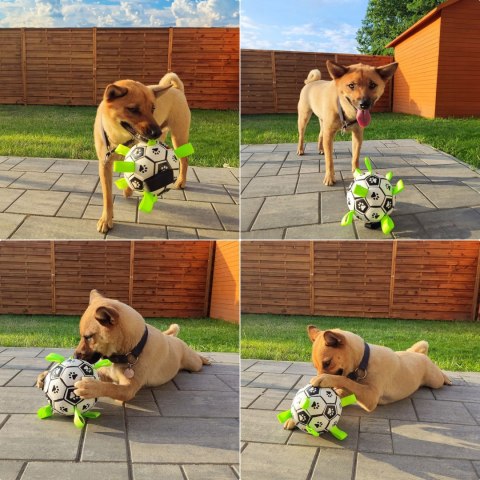 PIŁKA FUTBOLOWA DLA PSA Z UCHWYTAMI RONALD