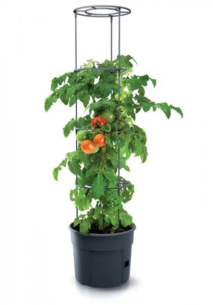 DONICZKA TOMATO GROWER - ANTRACYTOWY 12L DONICZKA TOMATO GROWER - ANTRACYTOWY 12L